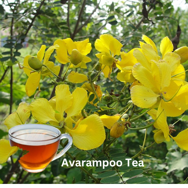 Benefits of Avarampoo Tea for Type 2 Diabetes